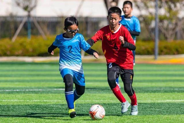 电动自行车管理困境：速度与安全的双重挑战